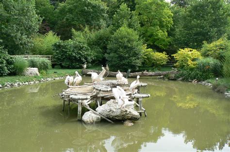 Pelican Ponds Open Space