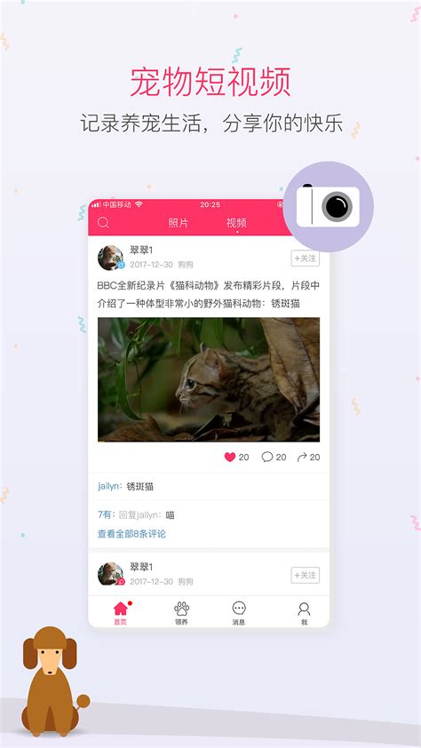 宠儿-宠物领养app项目总结_Maumao-站酷ZCOOL
