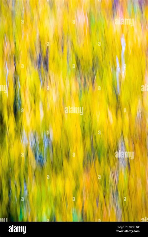 Image result for Colorful Patterns Moving