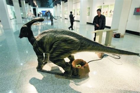 吉林市博物馆举行大型恐龙科普展 - 神秘的地球 科学|自然|地理|探索