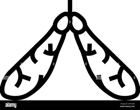 Image result for Maple Tree Line Drawing