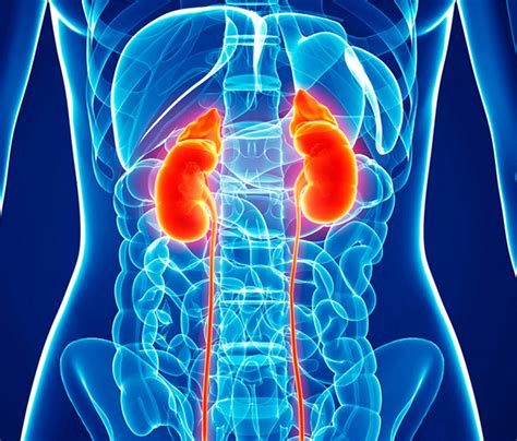 Urologist In Pathankot :: Kidney Stone Hospital | Kidney Hospital In ...