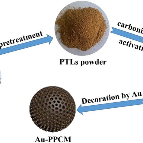 Image result for Ppcm Python Recursive
