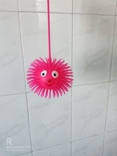 How to Make Python Select Images at Random From a File 的图像结果