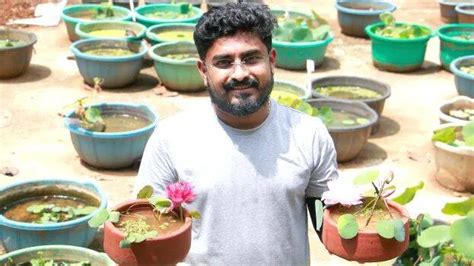Eldhose gave up nursing to start lotus farming; now earns Rs 50,000 per ...