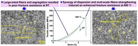 Understanding the Fracture Failure Mechanism of WC Particle-Reinforced ...