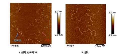 DNA病症插画图片下载-正版图片600073750-摄图网