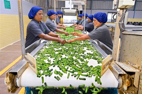 Fresh Green Agro Pvt Ltd in Industrial Area, Ranebennur - Best ...