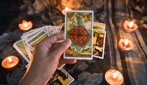 Best Tarot Card Readers In Delhi | WhatsHot Delhi Ncr