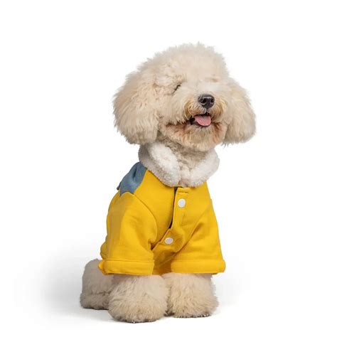 Zl Winterized Denim - Sherpa Dog Jacket Yellow | Zigly