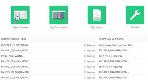 Image result for Ice SQL Workbench
