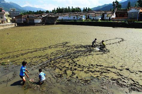 儿歌 捉泥鳅 雨后勇敢牛牛捉泥鳅_高清1080P在线观看平台_腾讯视频