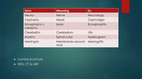 Medical Terminology of the body systems | PPTX