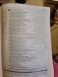 NLT Parallel Study Bible 的图像结果