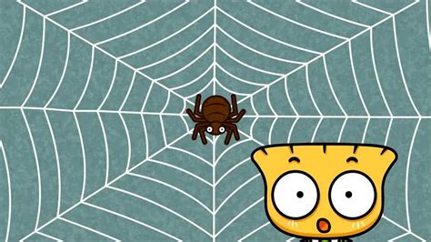 蜘蛛网是怎样织出来的_腾讯视频