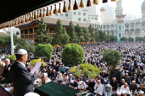 青海化隆县各界穆斯林代表到西宁东关清真大寺祝贺马跃祥阿訇任职 - 回族文化 - 穆斯林在线（muslimwww)