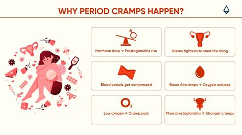 Understanding Period Cramps: Why They Happen, What Helps, and When It’s More Than Just Pain