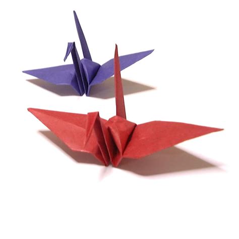 White Origami Crane Meaning The Damn Birds: 1,000 Origami Cranes