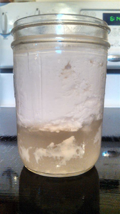 Make Your Own Kefir at Home: Healthy, Inexpensive, and Easy - DIY Probiotic Foods