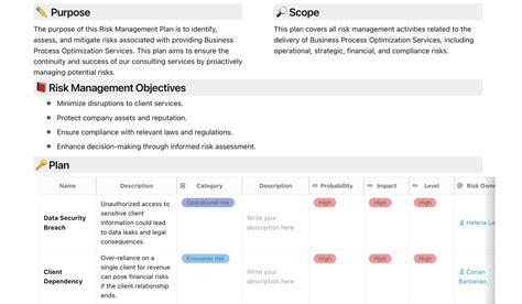 Risk Management Plan Example 的图像结果