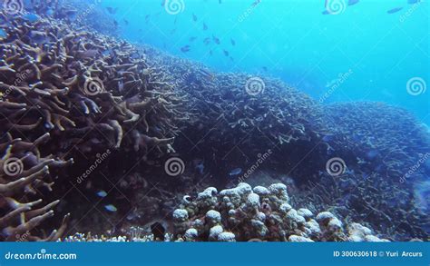 Natural Environment 的图像结果