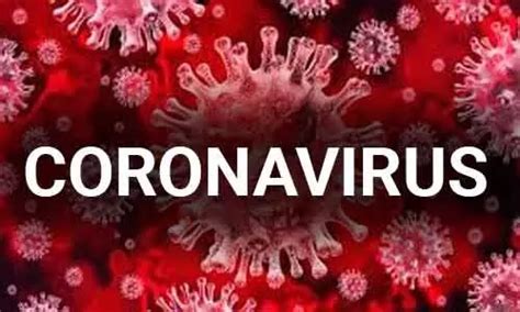 No intrauterine vertical transmission of new coronavirus from mother to ...