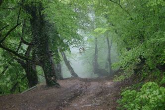 Humid 的图像结果