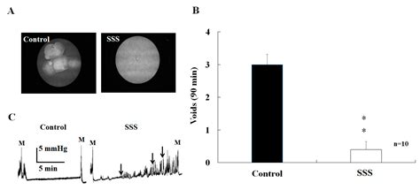 Mechanism of Social Stress-Related Erectile Dysfunction in Mice ...