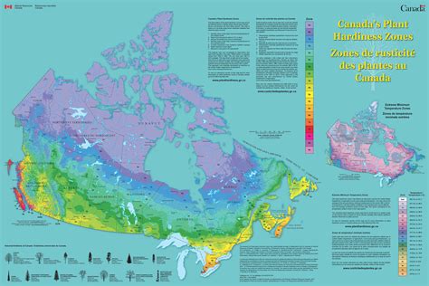 Hardiness Zones North America - Eco Friendly Income