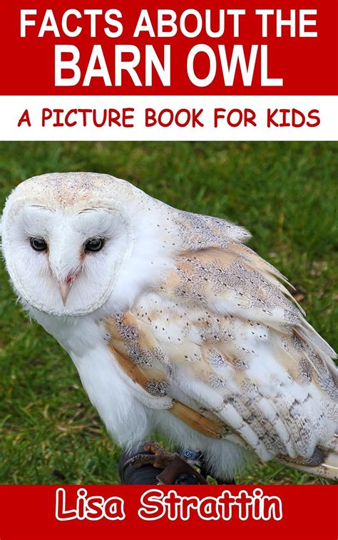 Facts About the Barn Owl (A Picture Book For Kids 486) eBook : Strattin ...