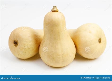Three Butternut Squash Fruits Stock Photo - Image of harvest, cooking ...