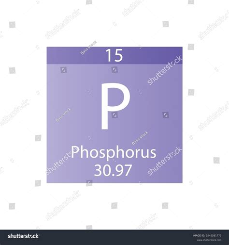 P Phosphorus Non Reactive Metal Chemical Stock Vector (Royalty Free ...