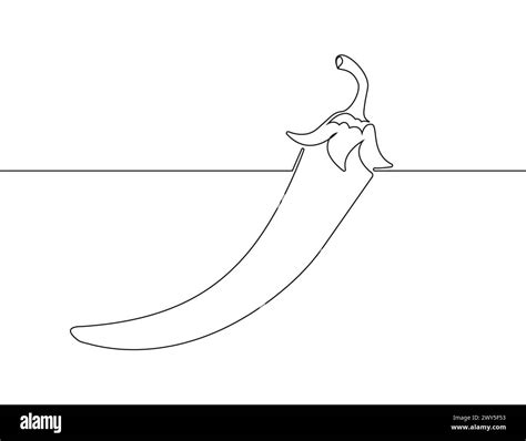 Chili pepper in continuous line vector. Hot pepper, cayenne, habanero in one line art of ...