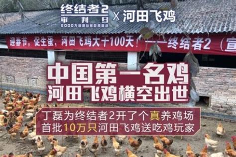 土鸡，笨鸡，溜达鸡根本不算鸡的品种！试总结300年的中国名鸡品种！ - 知乎