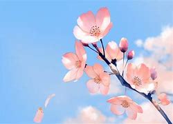 Image result for Almost Spring Wallpaper