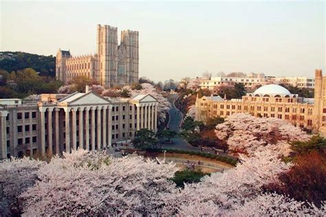 韩国大学留学条件有哪些？韩国大学排名一览表