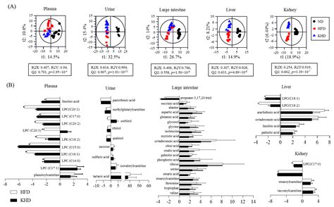 Effects of Kimchi Intake on the Gut Microbiota and Metabolite Profiles ...