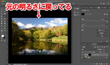 Image result for Basic Flowchart Examples