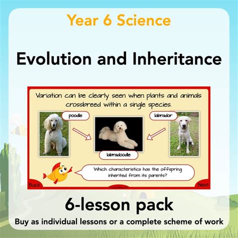 Image result for Freesciencelessons Evolution