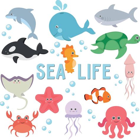 Cute Sea Animal Clipart
