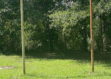 Tunica Hills WMA Campground Camping | The Dyrt