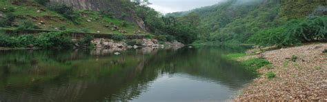 Polo Forest Package - Polo Forest Resort, Polo Forest Holiday Trip ...