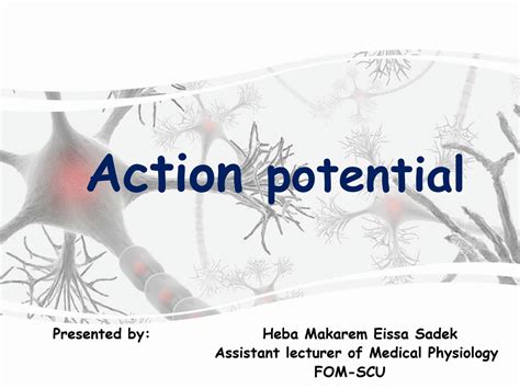 Action Potential Explained 的图像结果