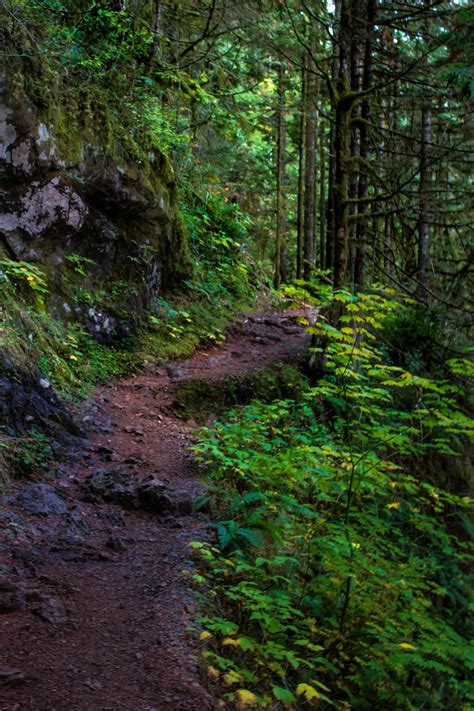 Elevation of Mountain Loop Hwy, Granite Falls, WA, USA - MAPLOGS
