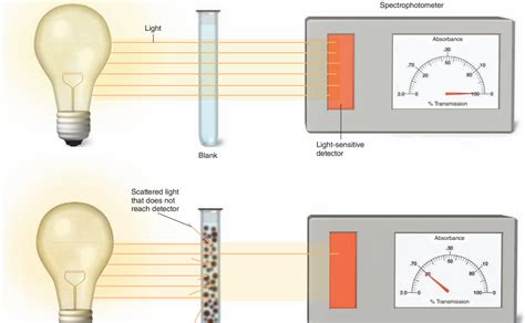 Image result for How to Do Microbial Growth Curves Using Spectrophotometer