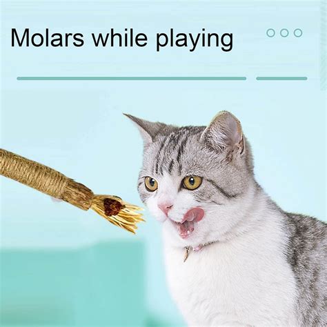 Buy BDYJY Cat Toy Clean Cat Cat Teeth Toy Stick Mutian Clean Polygonum ...