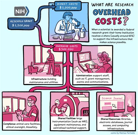 NIH Budget Cuts Are a "Short-Sighted" Setback for US Science | The ...