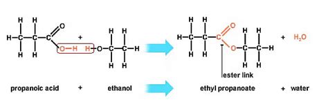 Class 10 Science Chapter 4 Previous Year Questions - Carbon and its ...