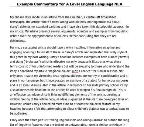 Commentary Examples 的图像结果