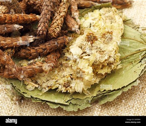 Chinese Herbal Medicine 的图像结果